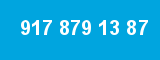 917 879 13 87